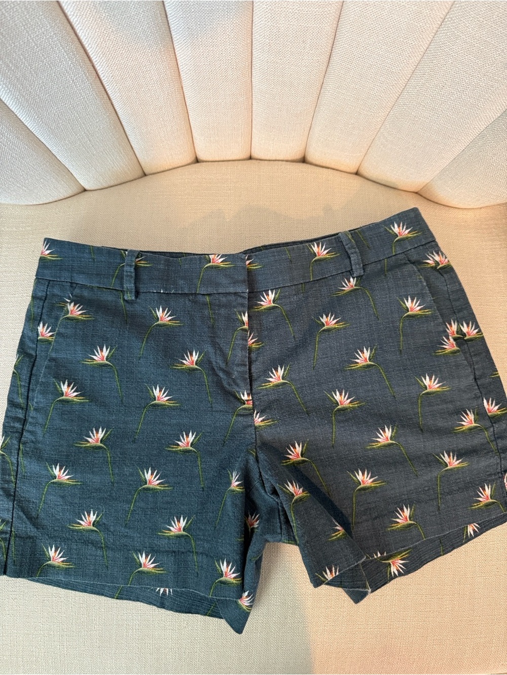 size 0 ANN TAYLOR Devin Fit shorts Bird of Paradise cotton floral navy women’s
